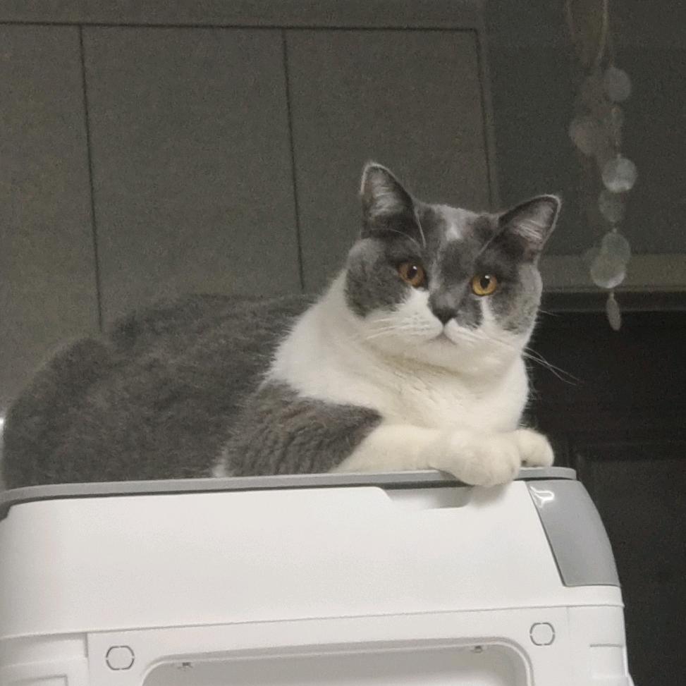 ૮₍♡ヾ星♡₎ა