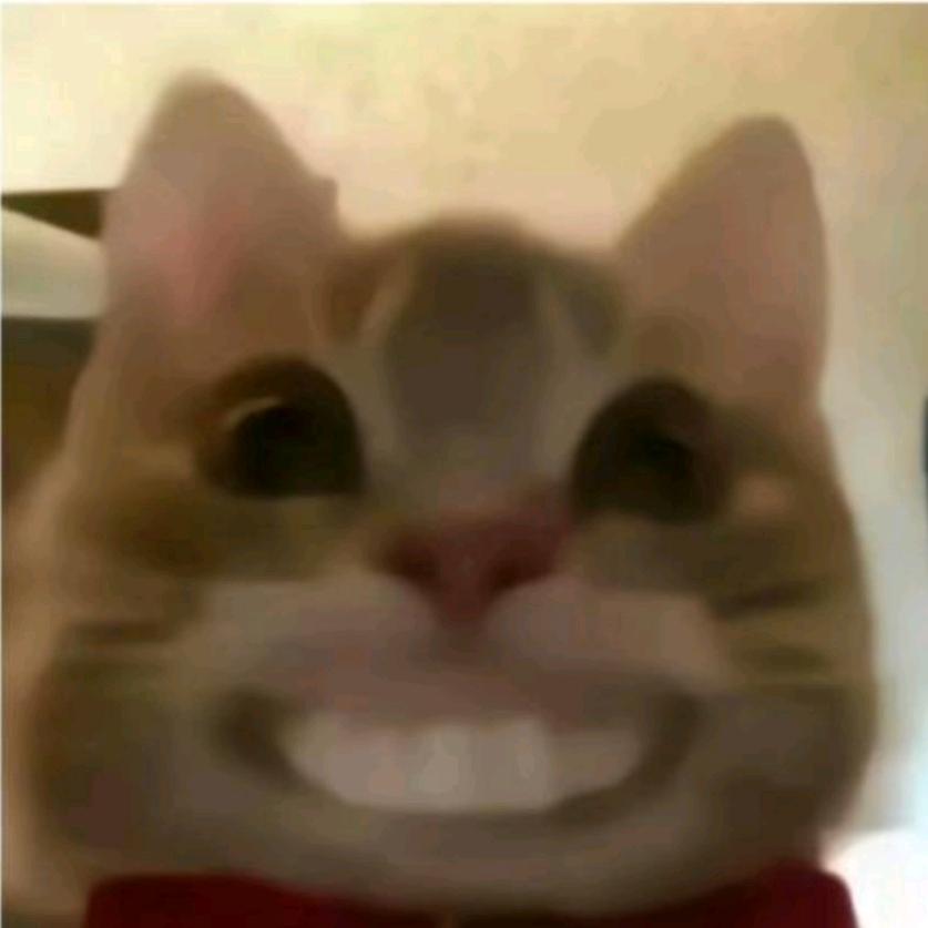与妮慢慢遇