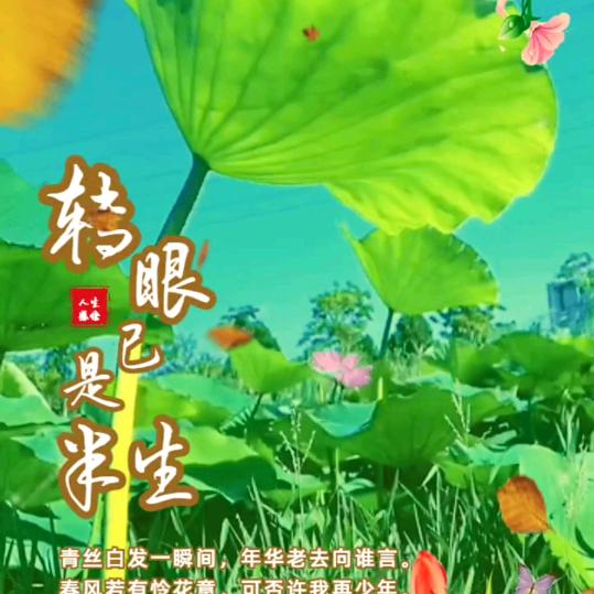 l星晨