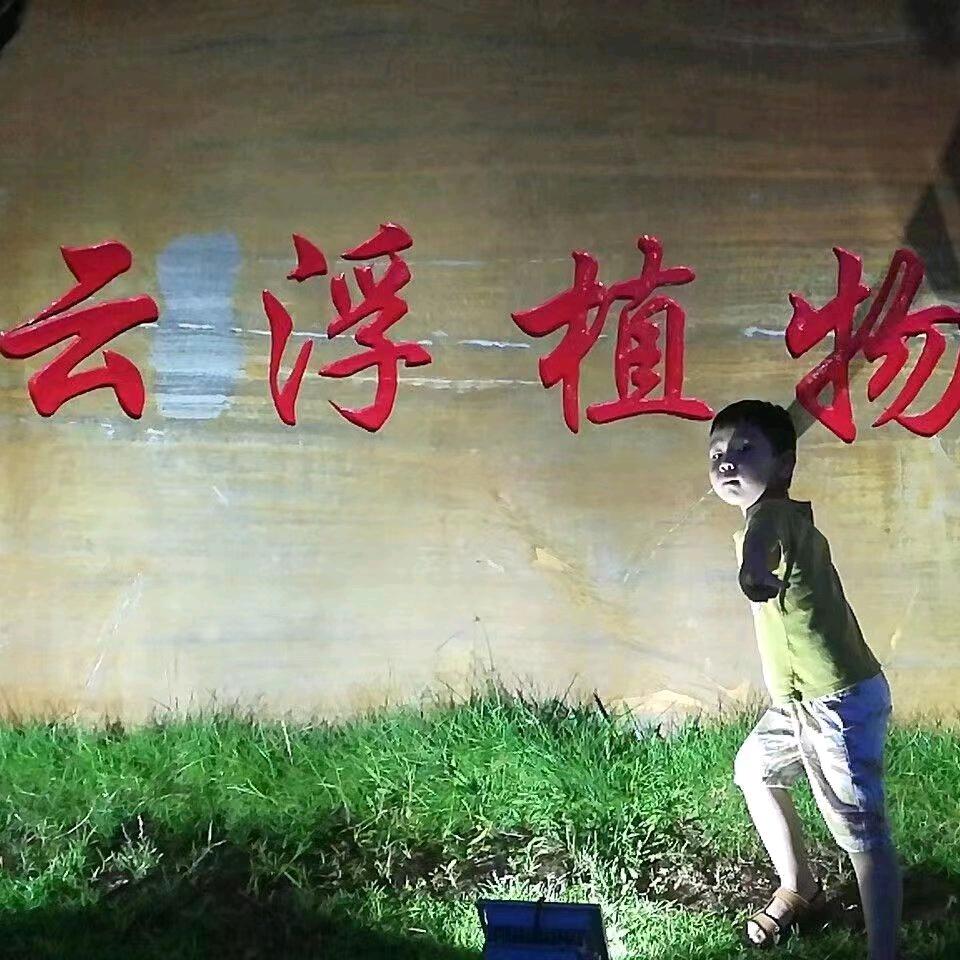 w楼顶水果蔬菜园