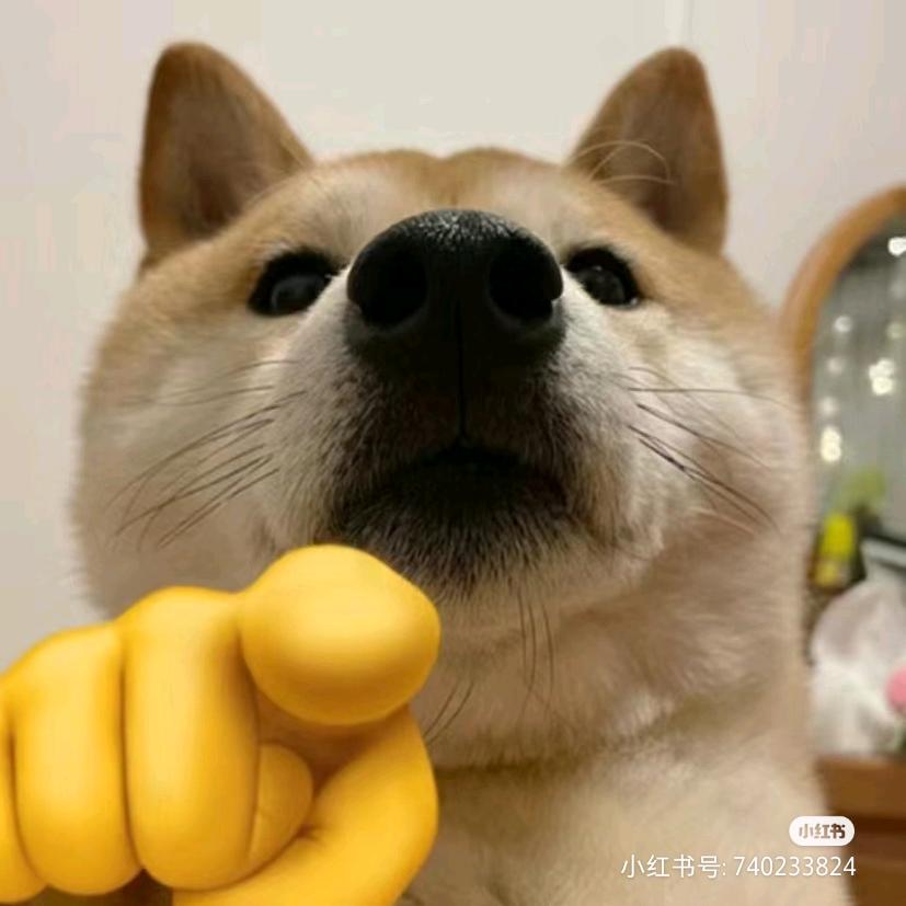 别喊我