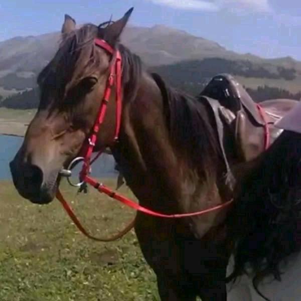 《♥》♞思念！！！