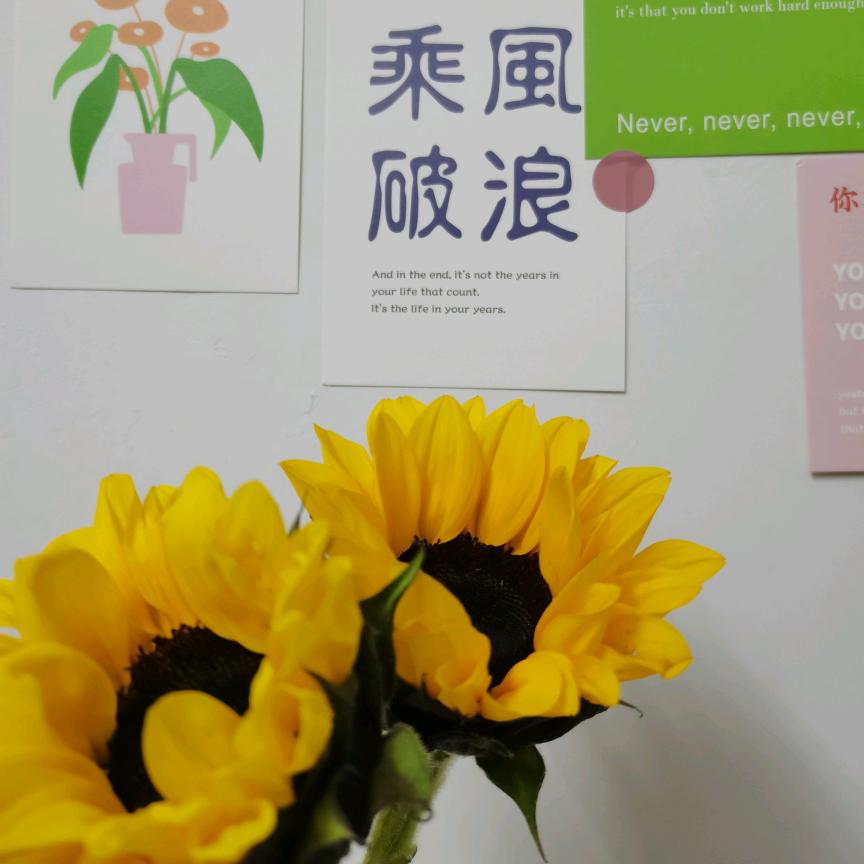 喝可乐的可乐