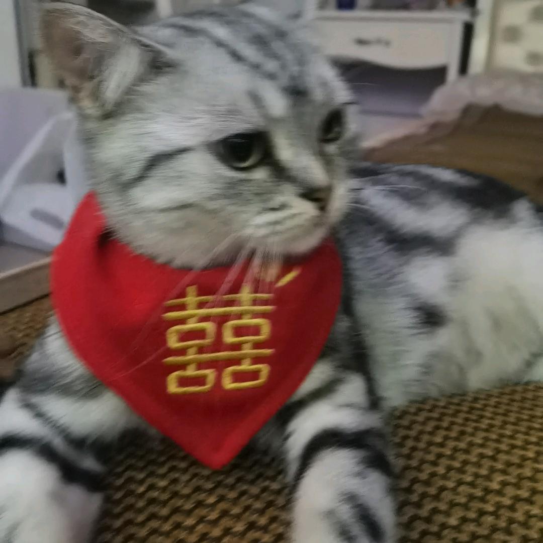 彼方