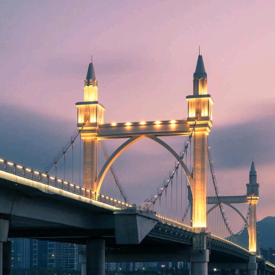 杨东，，，，，，