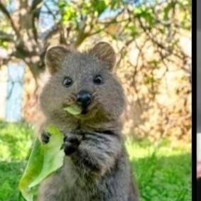 云朵美睫美甲官方号