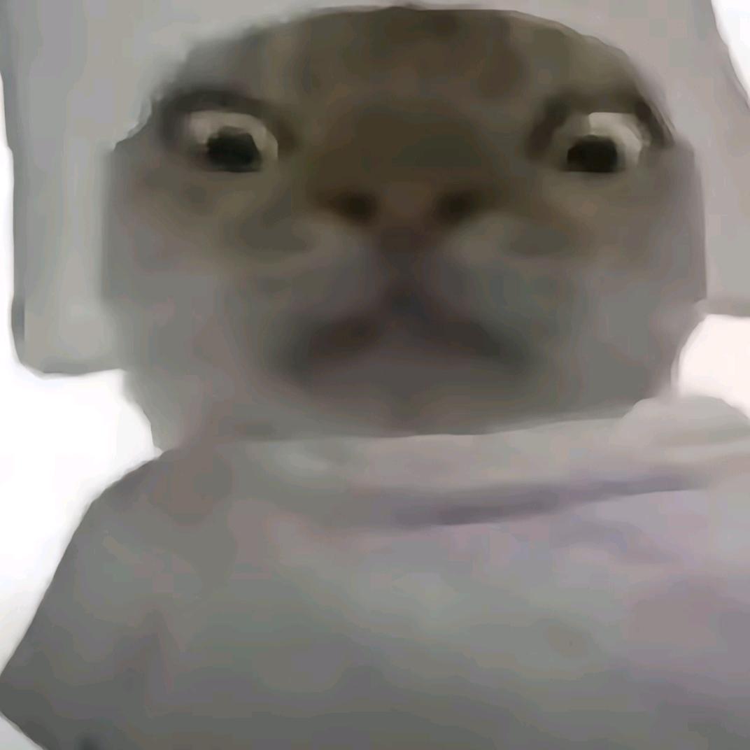 💕🐾🐾💕💕💕