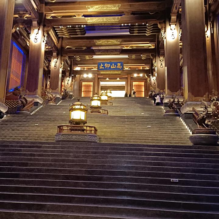蛤蟆炖大鹅