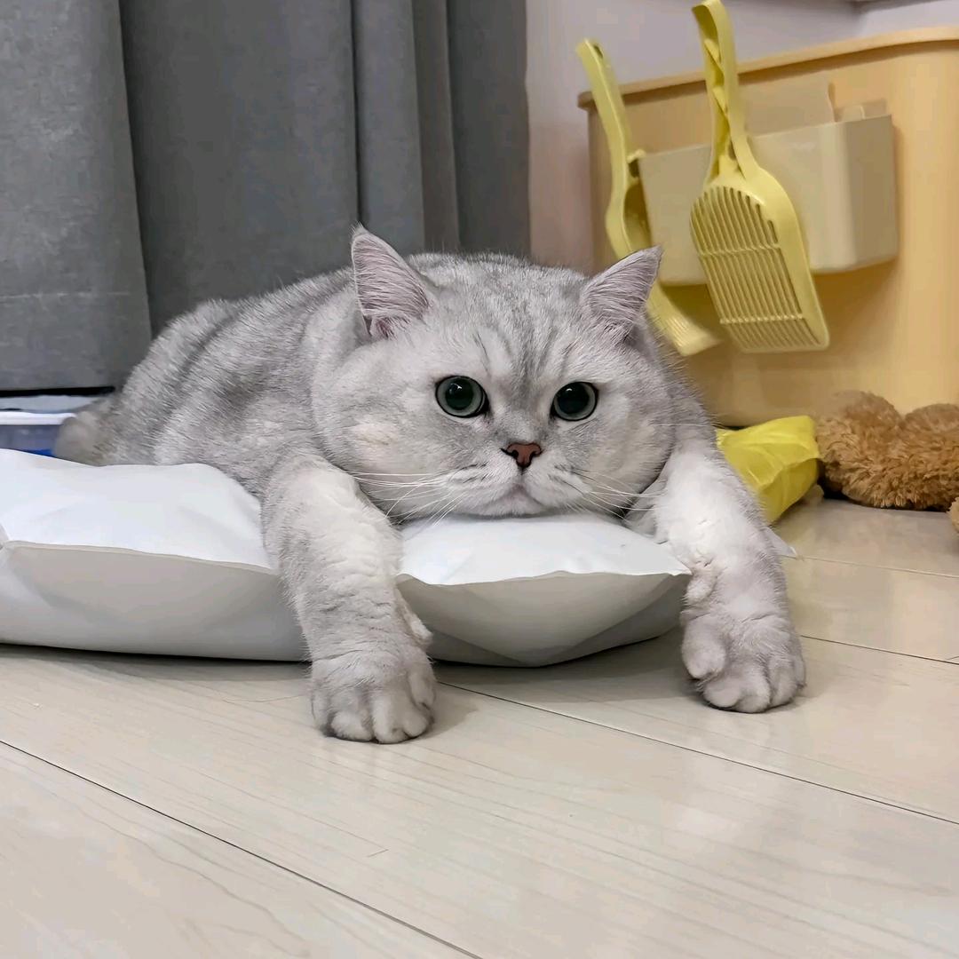 小财^_^迷❤