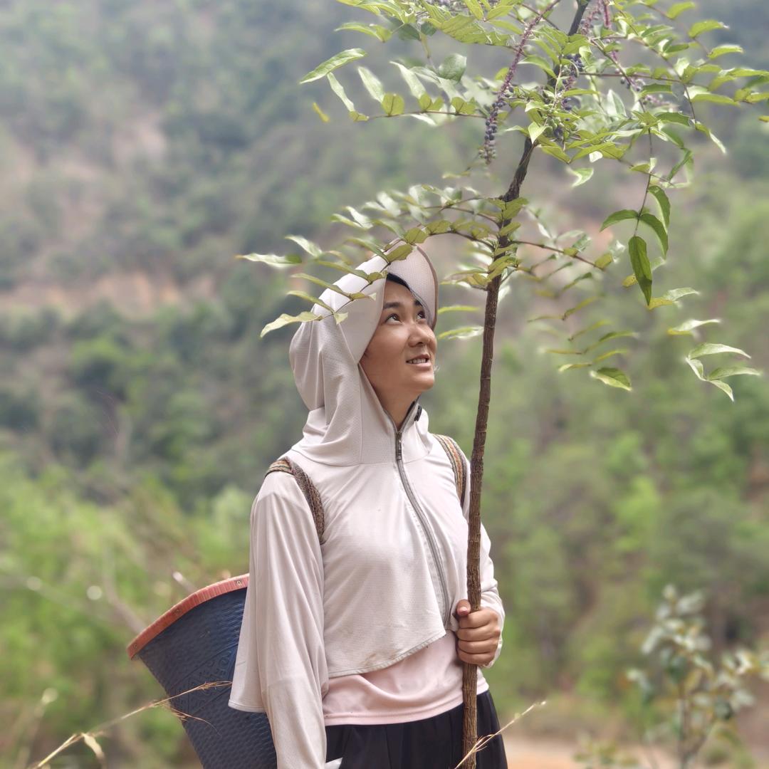素莹的鸡鸣山舍
