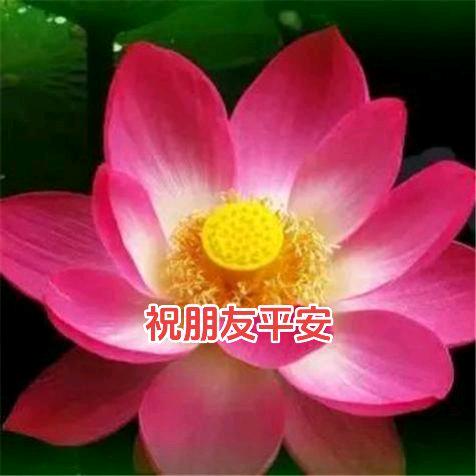 金寨县城