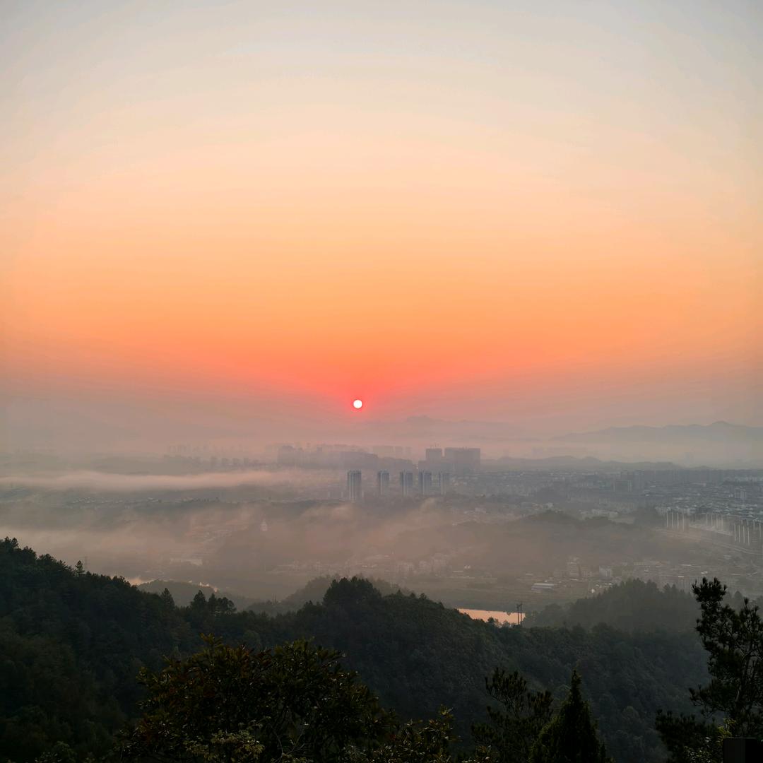 阿飞就是我
