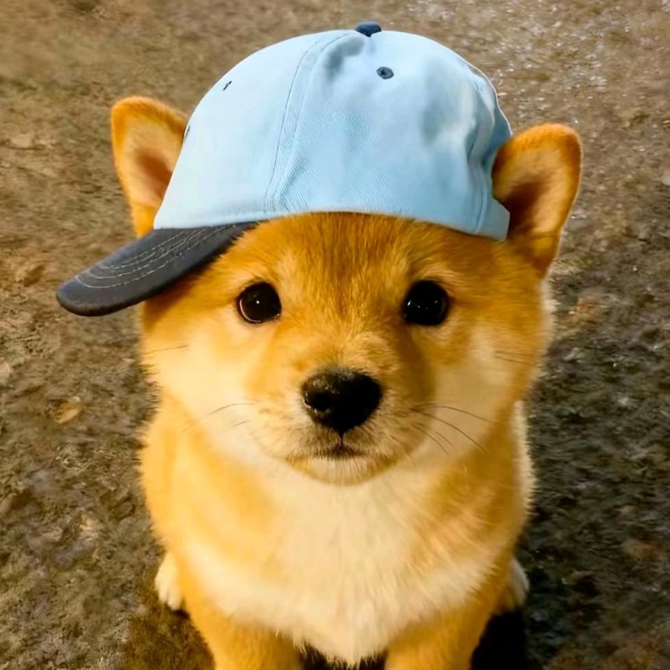 勾陈之星