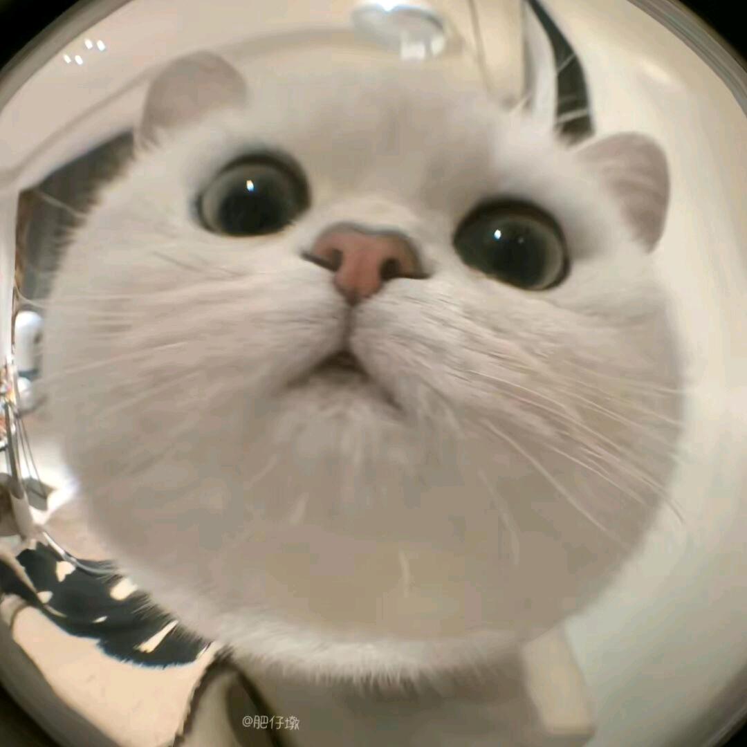 ـ٨ـﮩﮩ٨ـ♡小七ﮩ٨ـﮩﮩ٨
