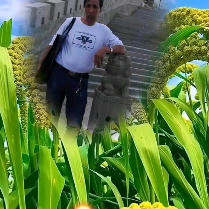 妈咪宝贝
