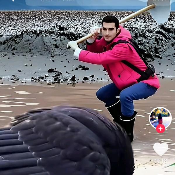 篮篮的天