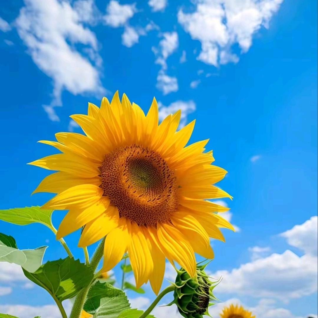 ꫛ᭄好运💞常伴ꦿ້໌ᮨ࿐