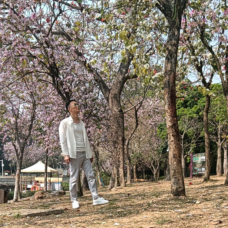 广东啊莫