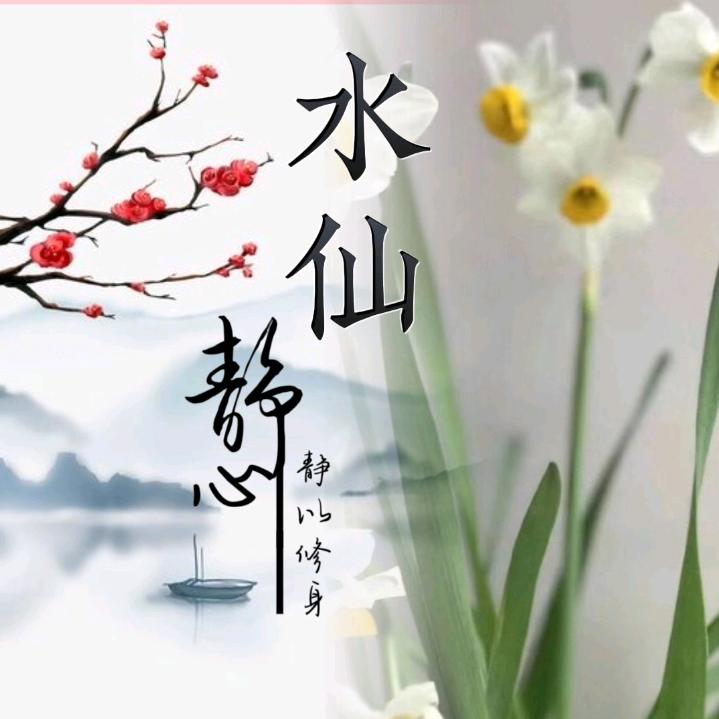 @水仙