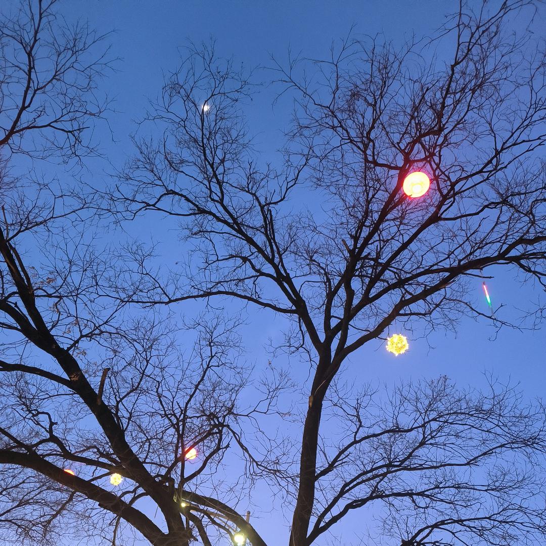 渡