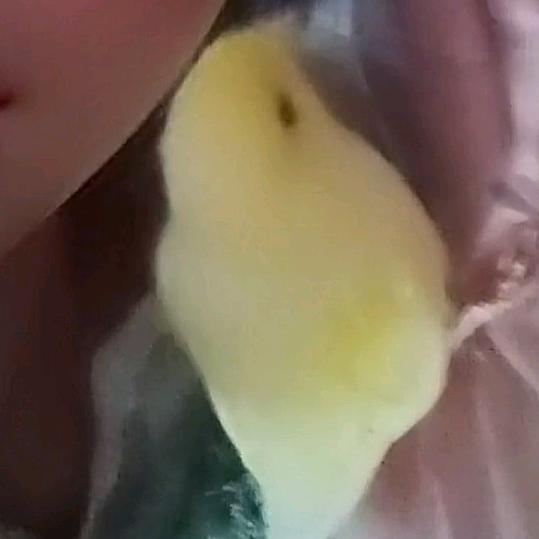 神鹰