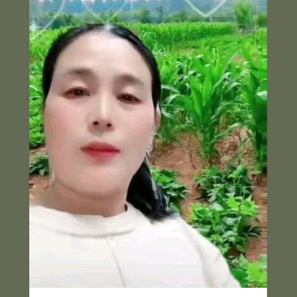李幺妹（晚上8：10开播）