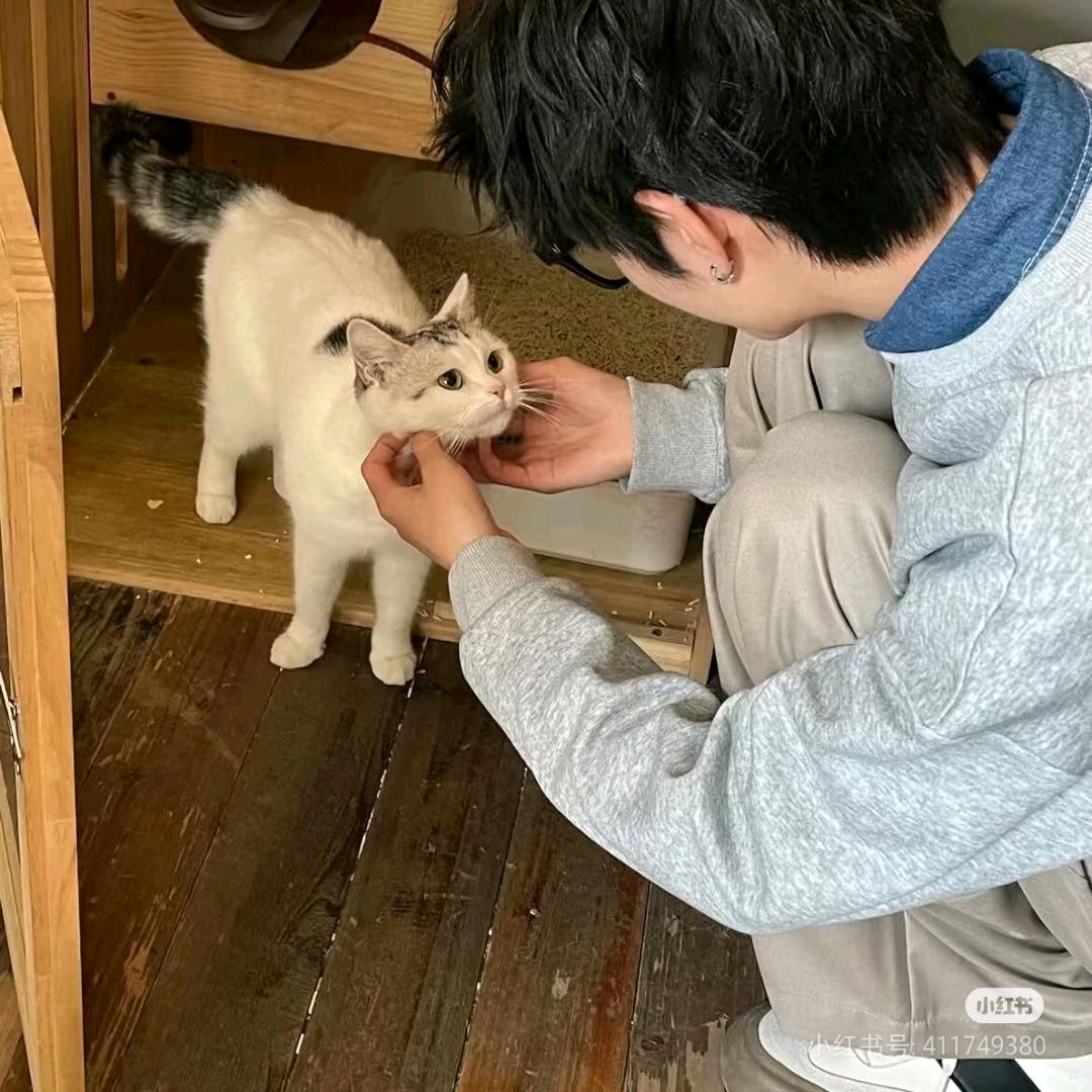 六壬风火院程法煜