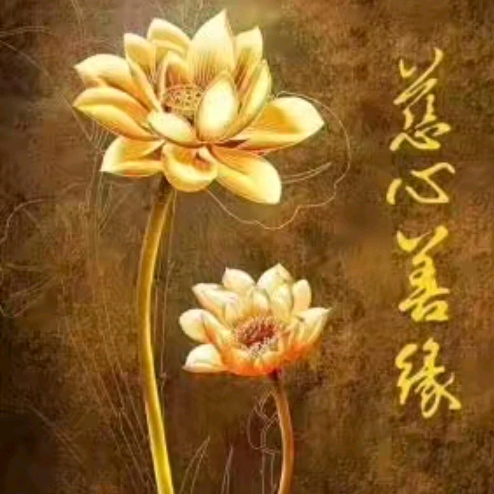 佛缘阁★李老师