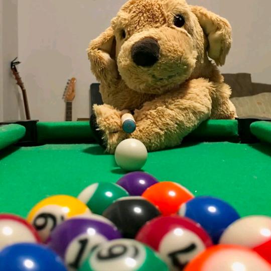 栗子🌰(长期招聘助教)