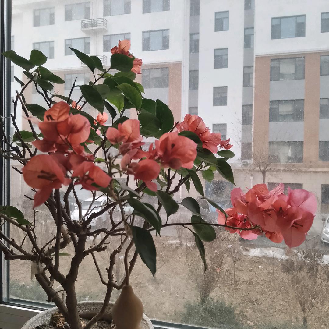 老有所乐
