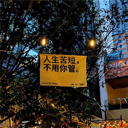 早起冠军