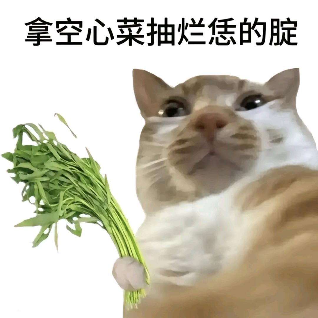 长乐最后的纯情哥布林圣主