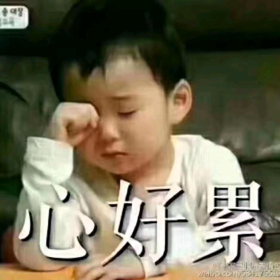 猪头