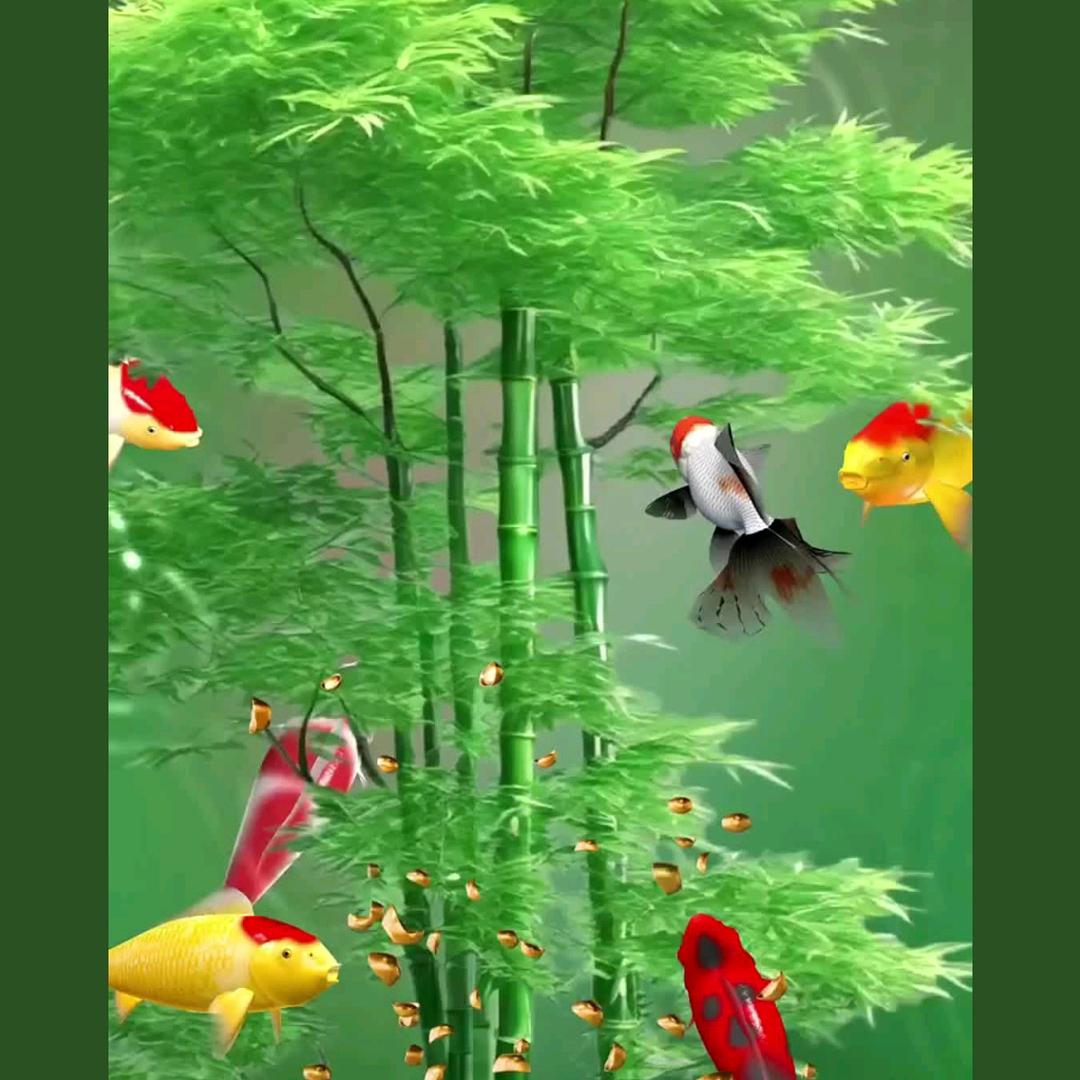 磊👺