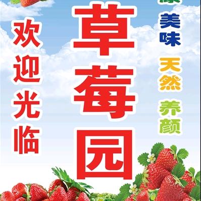 🍓七彩生态草莓园🍓
