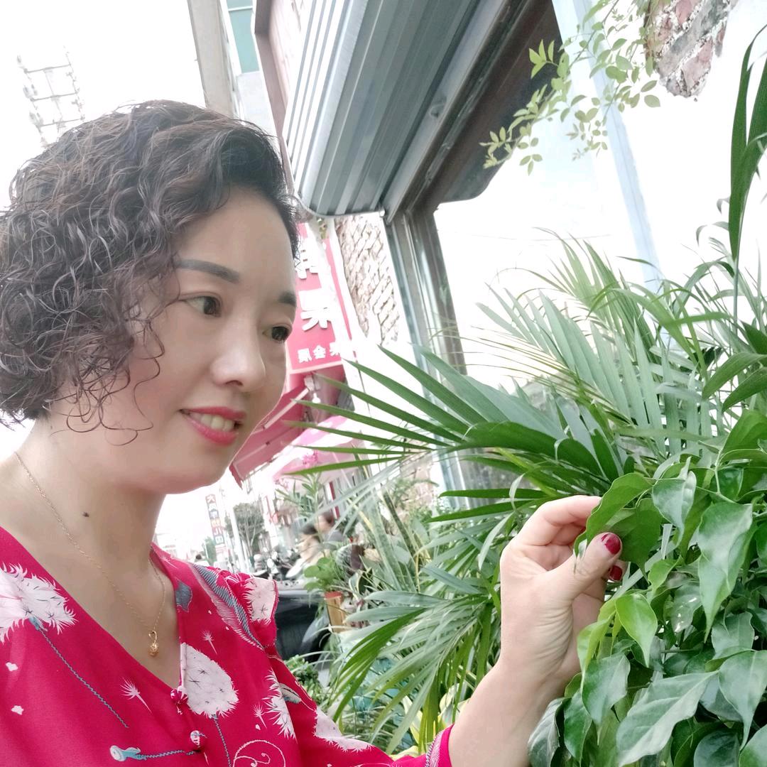 雪莲花