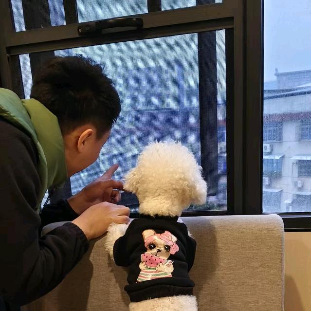 乡村大表哥