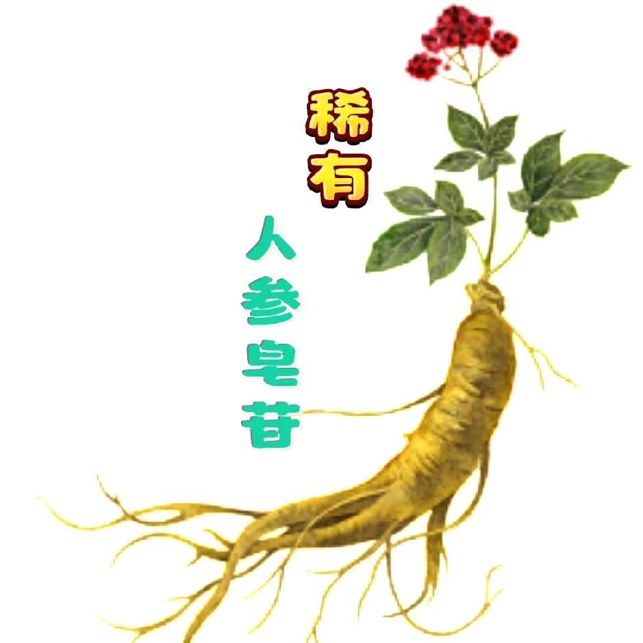 崔哥植物干细胞（贵阳）