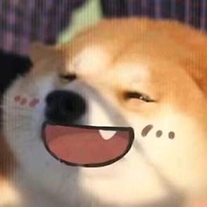 秃头小狗