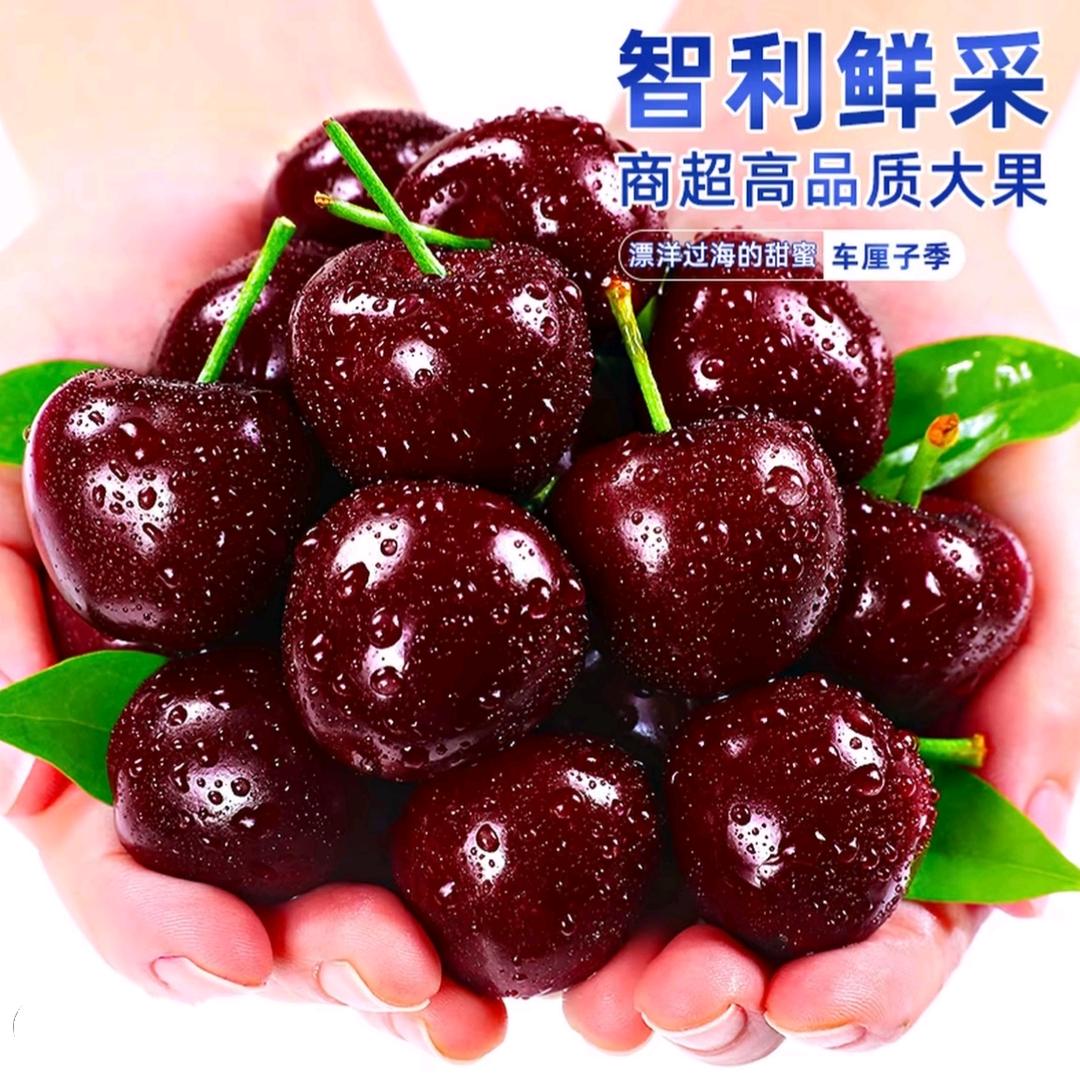 新鲜车厘子到货了