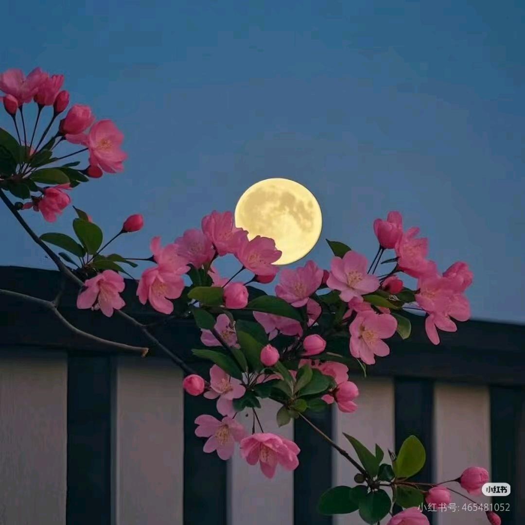 竹林听雨