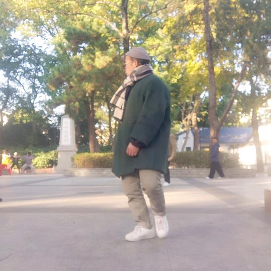 凤凰歌