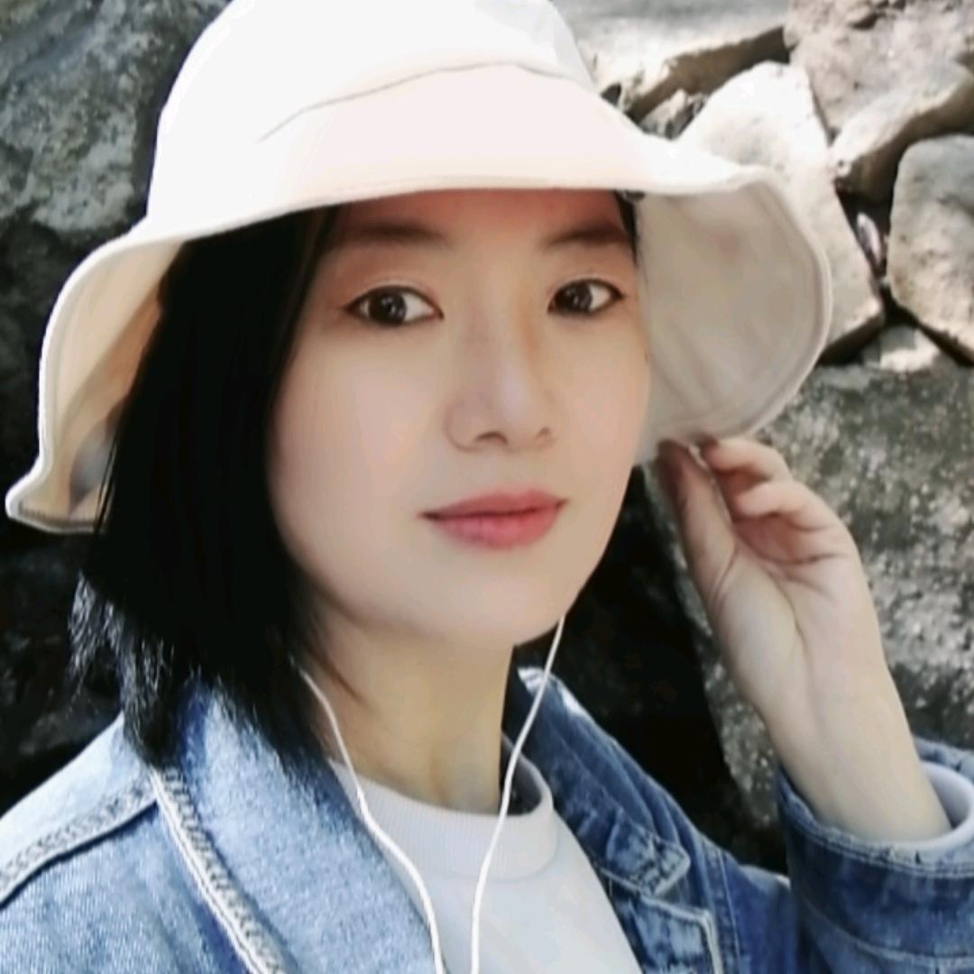 木槿花
