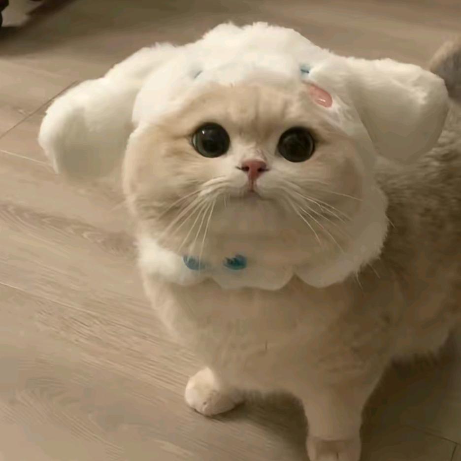 铎林