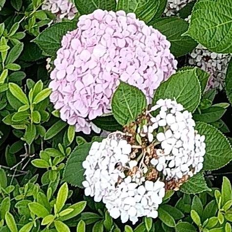 爱财，爱己 ，过的风水水起