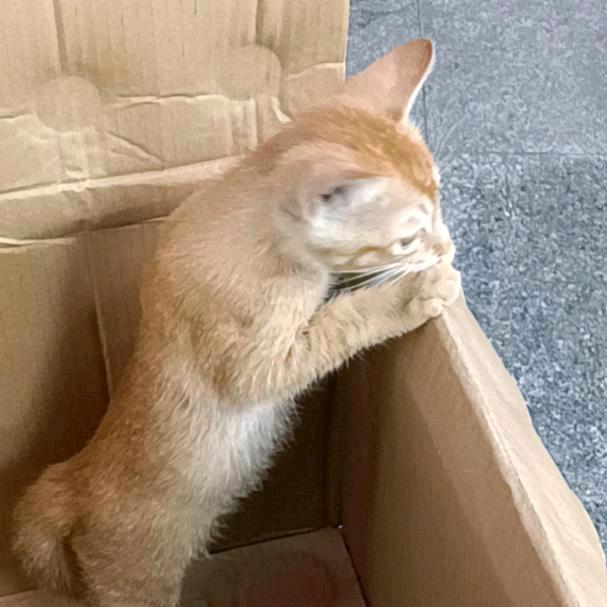 什么都不重要，身体健康最重要