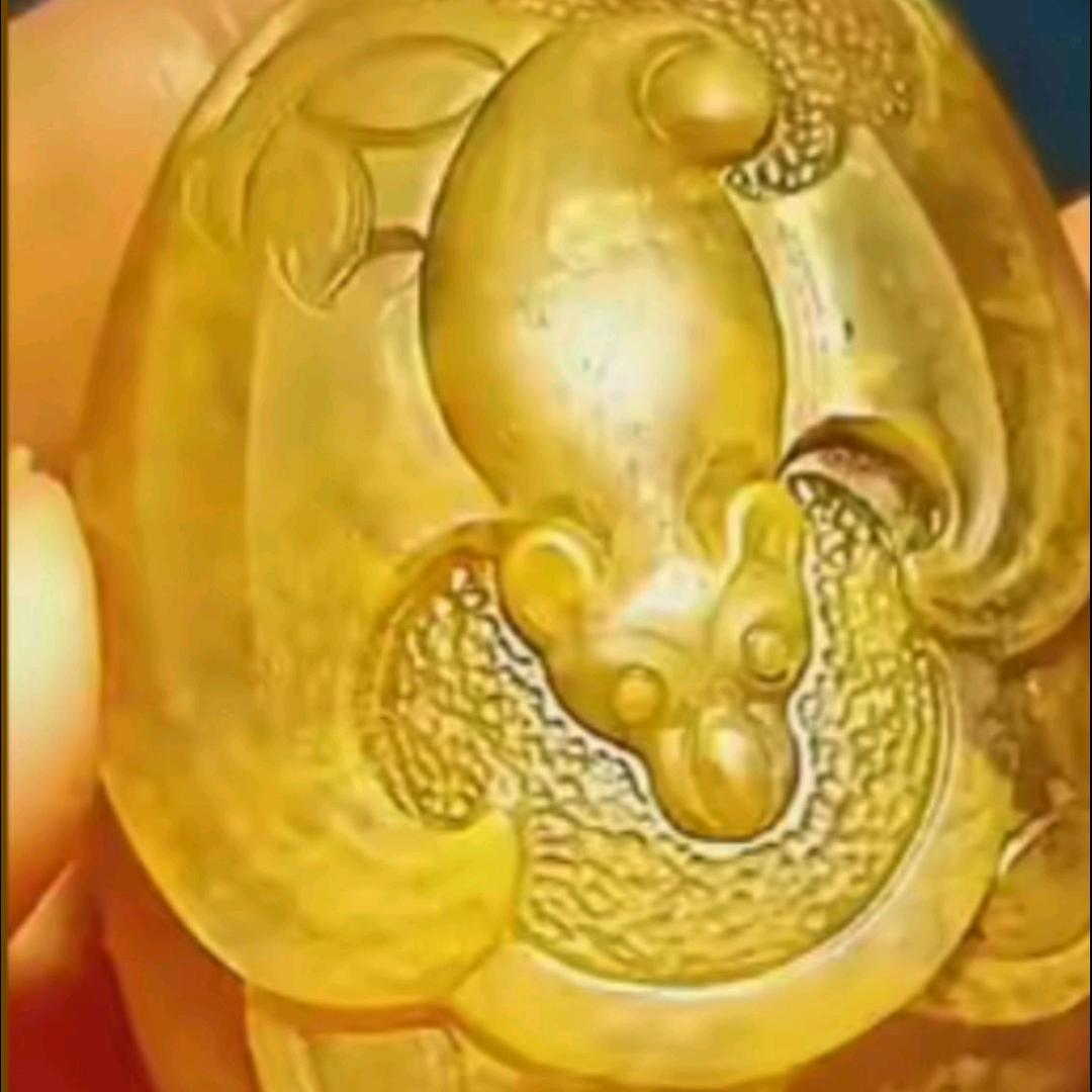 灭绝的谎言