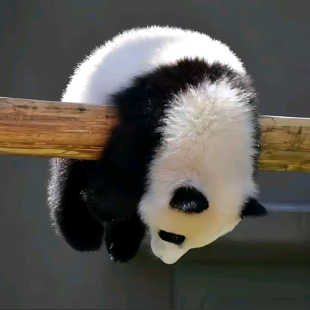 自律的人.