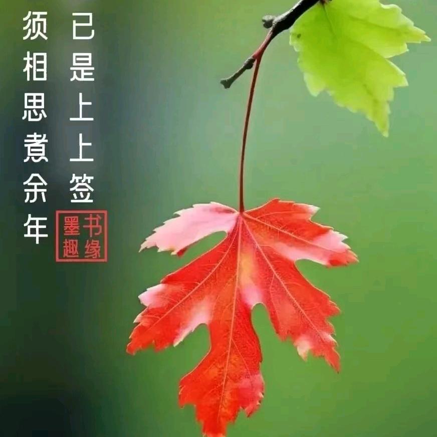 刚刚手写