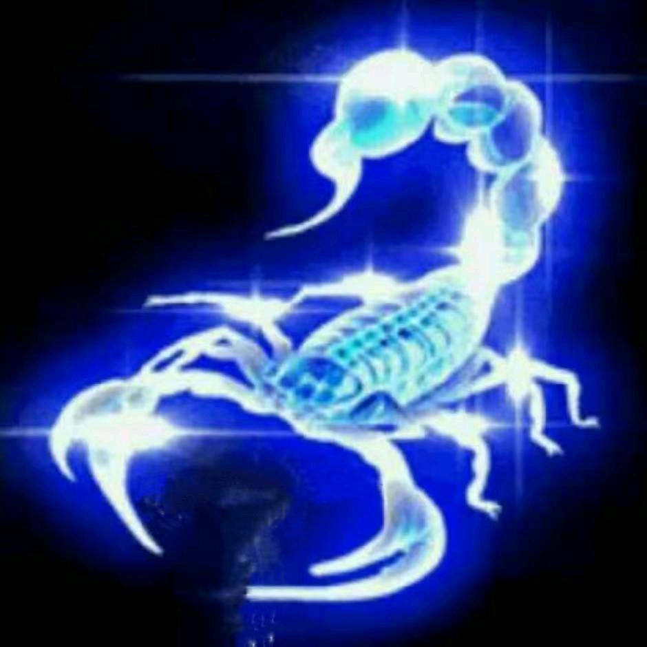 🎩暖心🏹向阳🚬